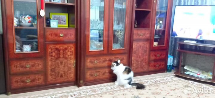 Стенка в гостиную