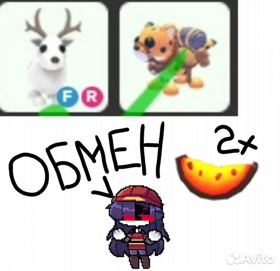 Петы адопт ми