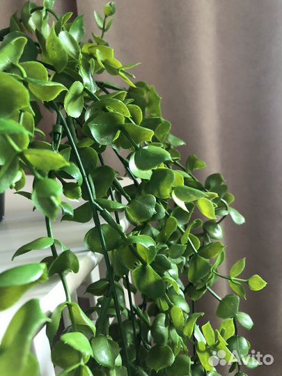 Искусственная зелень, эвкалипт «Лето»