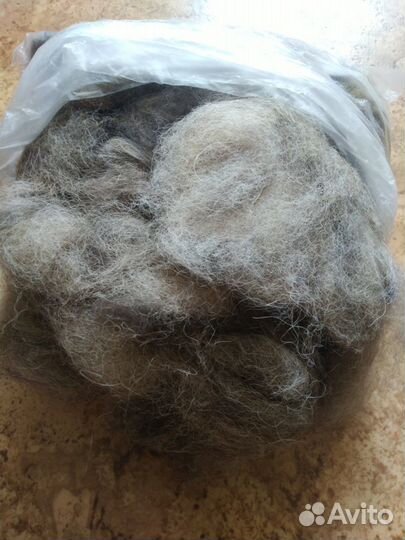 Собачья шерсть