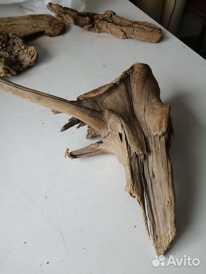 Коряги для аквариума и террариума