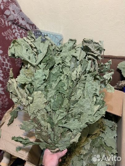 Веники для бани дуб