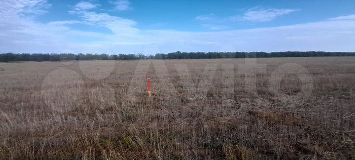 Участок 13,01 га (СНТ, ДНП)