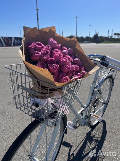 Женский городской велосипед Schwinn Wayfarer Women