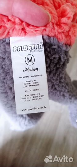 Одежда для собак