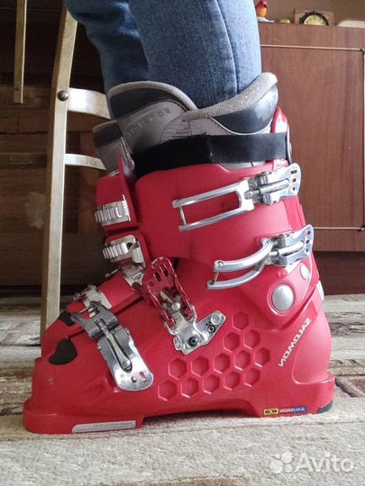 Горные лыжи