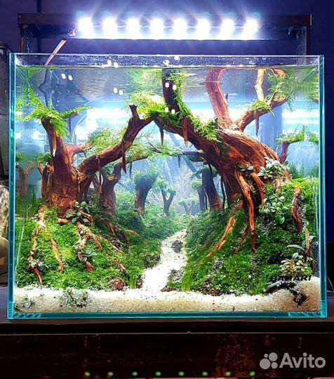 Коряги для аквариума,композиции,бонсай