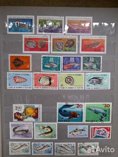 Марки. Морские и речные животн. Цена за все марки