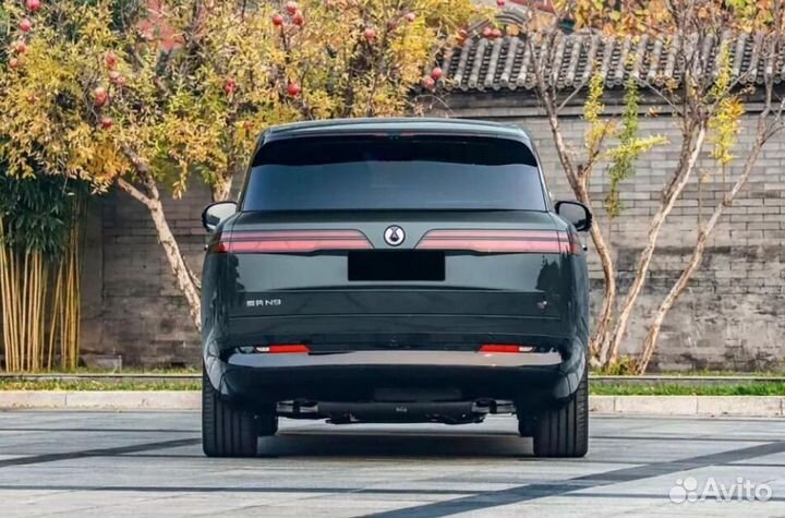 Denza N9 2.0 CVT, 2025, 2 км