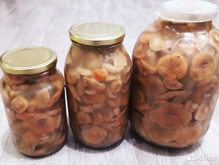 Грибы