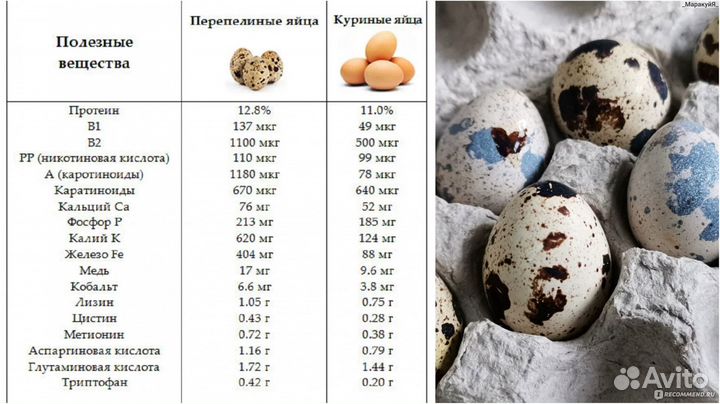 Яйца перепелиные домашние