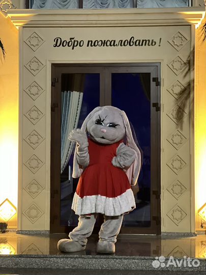 Шоколадный фонтан и Аниматоры
