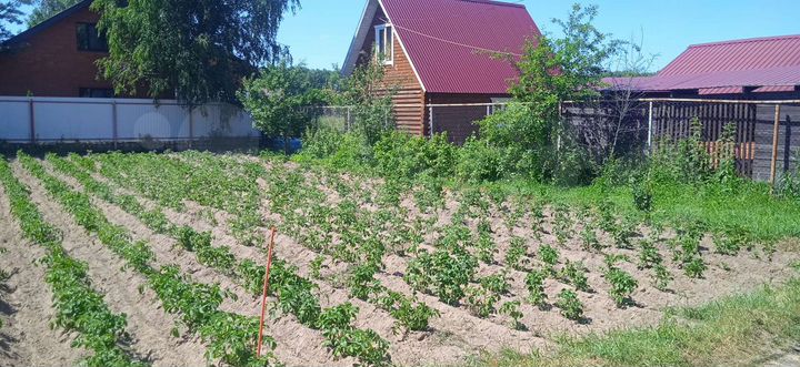 Участок 5 сот. (СНТ, ДНП)