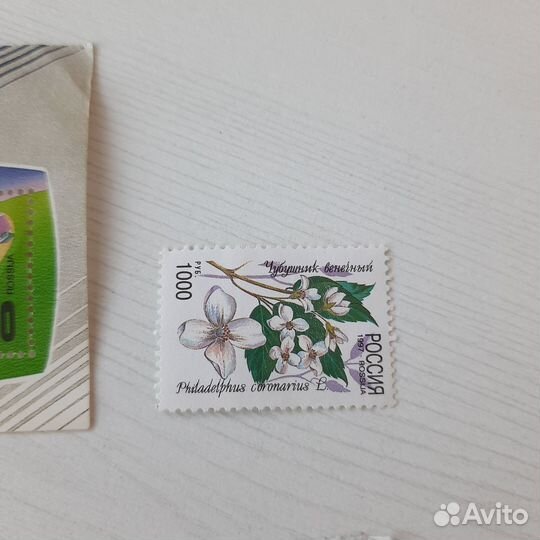 Марки одиночные Россия современная