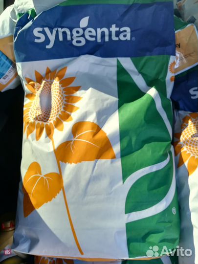 Семена гибридов рапс, подсолничник, кукуруза