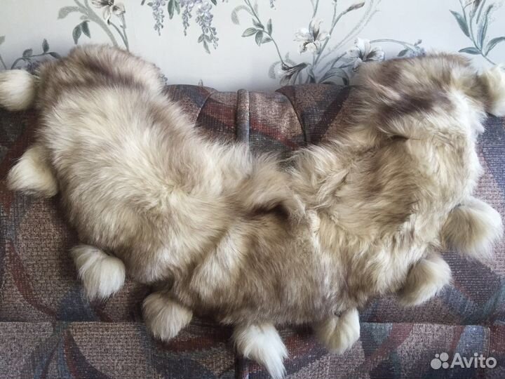 Шапка и воротник из песца