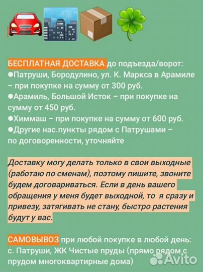 Монстера Доставка