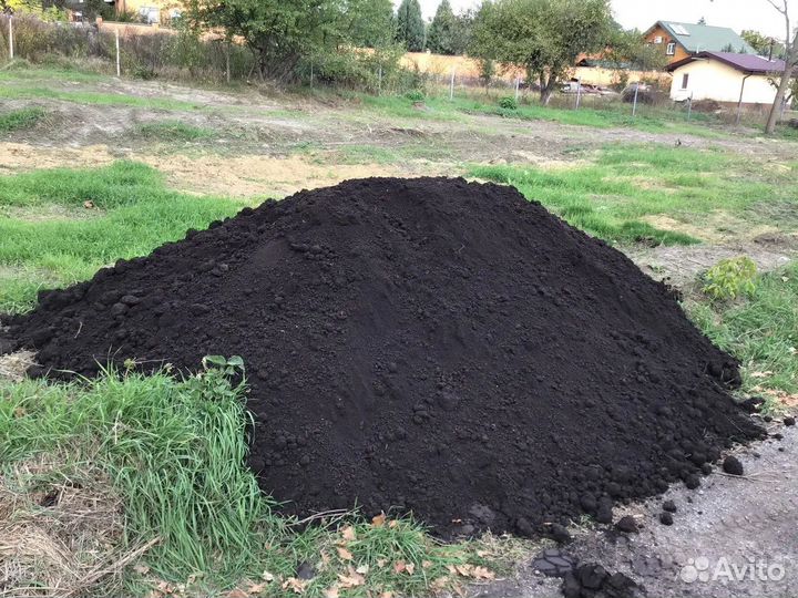 Чернозем