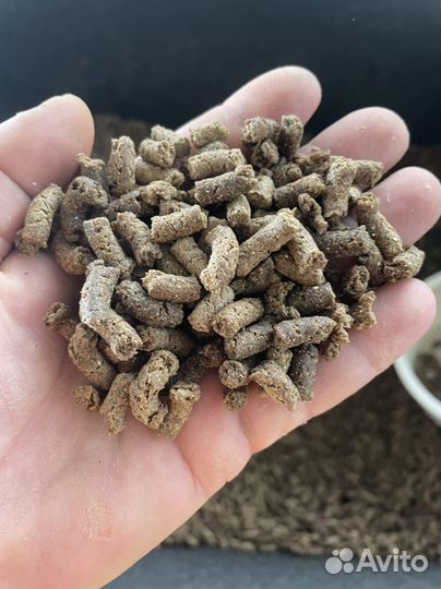 Собачий корм