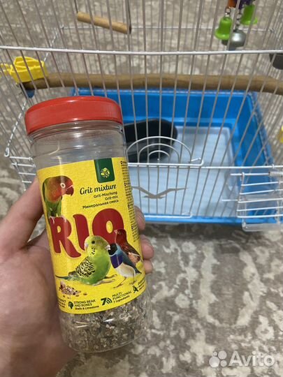 Клетка для попугая бу