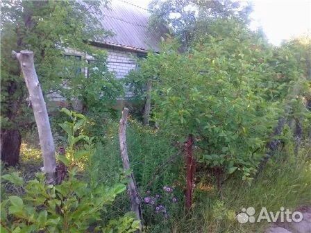 Грейдер, против сорняков, кустарников и деревьев