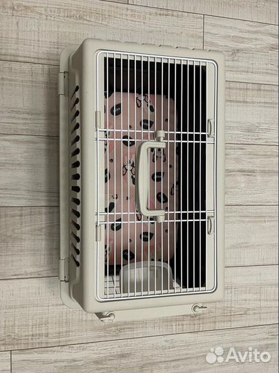 Переноска, когтеточка, лоток, миски для кота