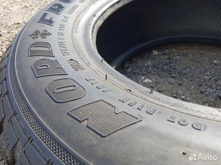 Gislaved Nord Frost III 175/70 R13