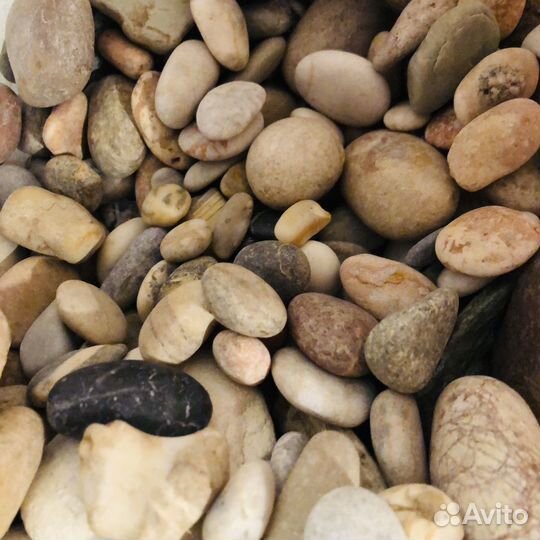 Ракушки морские камушки