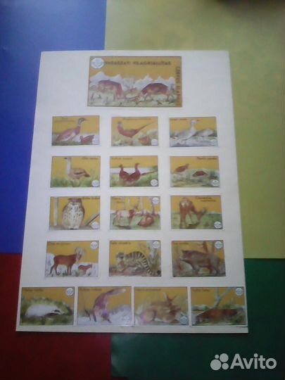 Коллекция этикеток спичечных - 1971 г