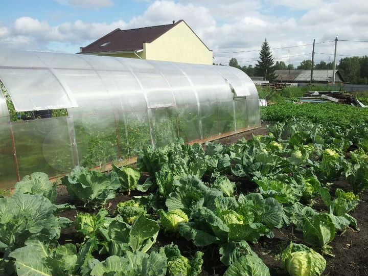 Участок 43,7 сот. (ИЖС)