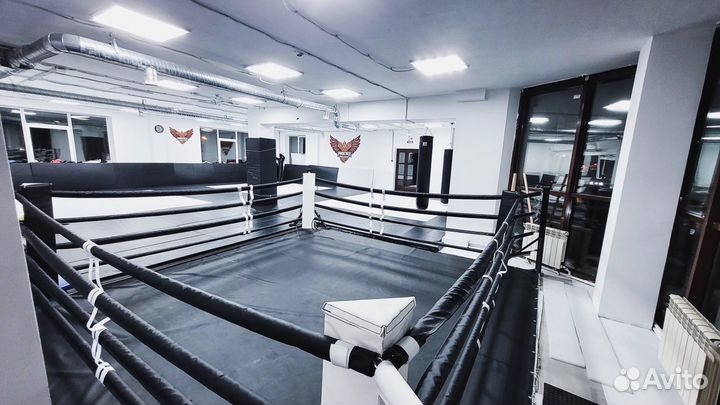 Бокс,Кэмпо-MMA,Дзюдо, Самбо, борьба