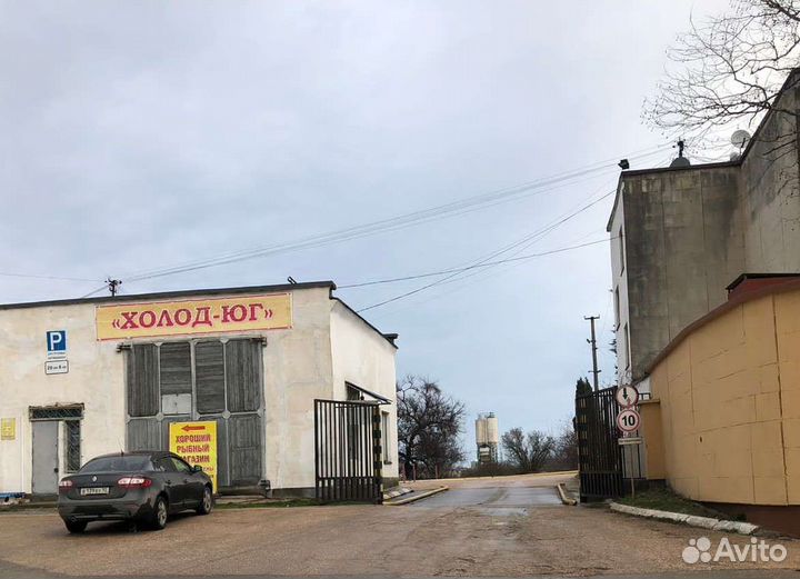 Форель св мороженная карелия