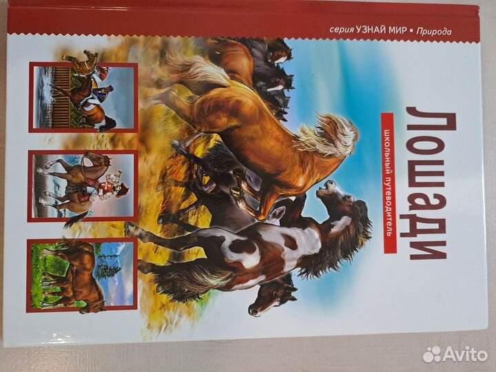 Кошки Птицы Лошади Собаки Дельфины Бабочки энцикло