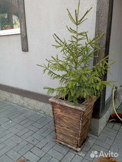 Кашпо для цветов из дерева, высота 60см