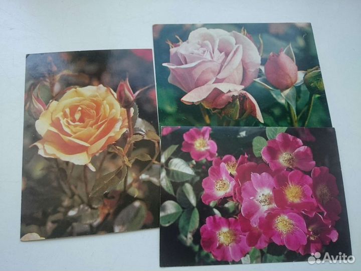 Открытки 3D стерео и почтовые карточки