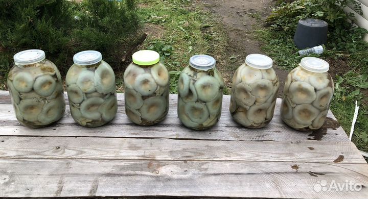 Грибы грузди соленые