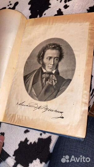 Полное собрание сочинений Пушкина