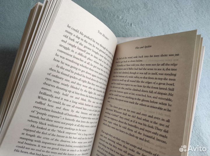 Книги Хоббит и Властелин колец: Братство кольца