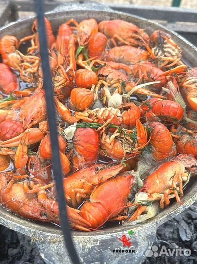 Раки лучшие доставка без промедлений