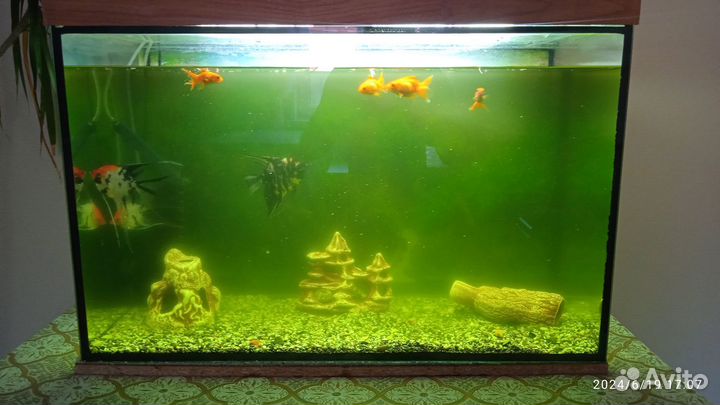 Аквариум