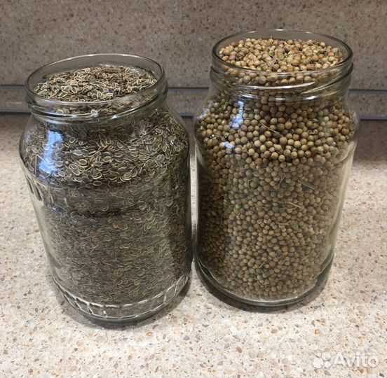 Семена Кинзы и Укропа