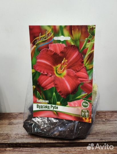 Лилейники сортовые