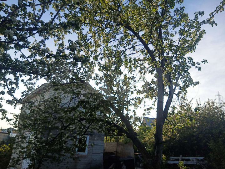 Дача 50 м² на участке 6 сот.