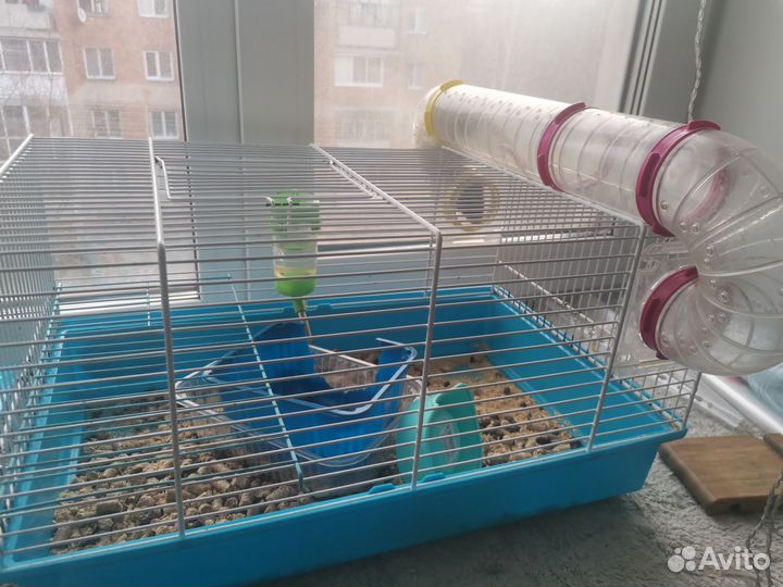 Декоративная крыса с клеткой