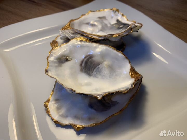 Икорница / раковина устрицы/подарочный набор