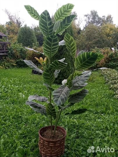 2 Искусственных дерева для интерьера