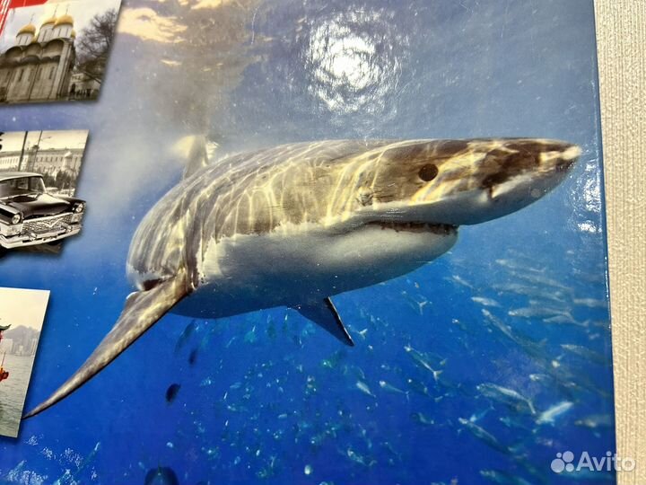 Детская энциклопедия новая 2 шт