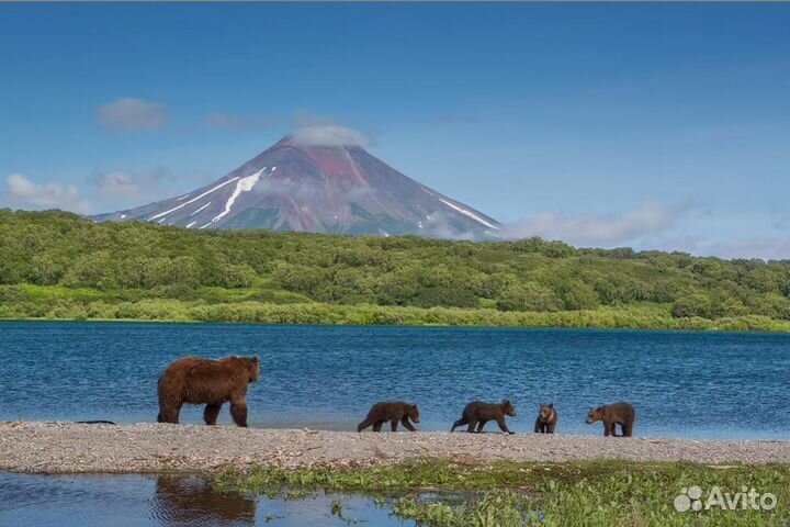Тур поездка на Камчатку на шесть дней отель 3 зв