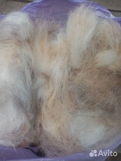 Шерсть мастифа