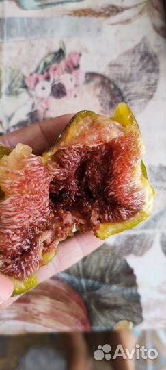 Варенье из инжира, сорт белый королевский